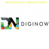 Agencja interaktywna Diginow